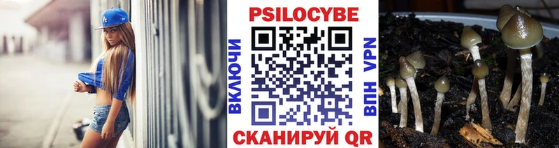 купить закладку  Кологрив  Галлюциногенные грибы мицелий 